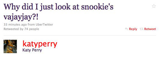 Illustration for article titled Snooki's Vagina: A Case Of Mistaken Identity